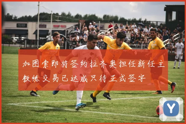 加图索即将签约拉齐奥担任新任主教练交易已达成只待正式签字