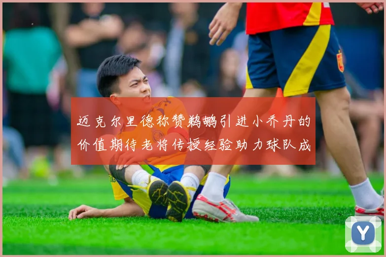 迈克尔里德称赞鹈鹕引进小乔丹的价值期待老将传授经验助力球队成长